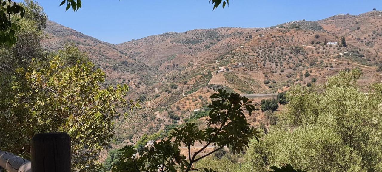 Baviera Hills Holiday Apartment Caleta De Velez Εξωτερικό φωτογραφία